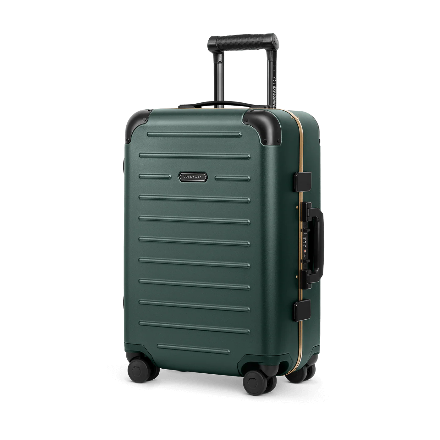 [DEV] Carry-On Closet Original - Precious Metals - Image 32